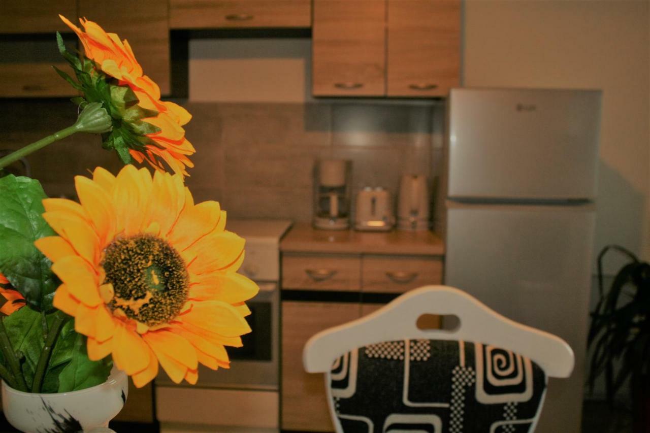 Târgu-Mureş Casa Peterfi - Apartment With 3 Bedrooms And Spacious Living Room מראה חיצוני תמונה
